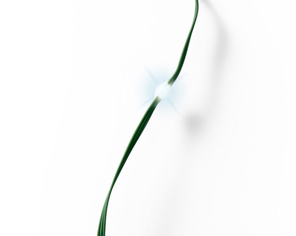 Valguskett 6m 80LED külm valge IP44