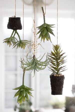 Kunstsukulent Flora 28cm