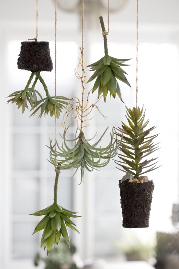 Kunstsukulent Flora 28cm