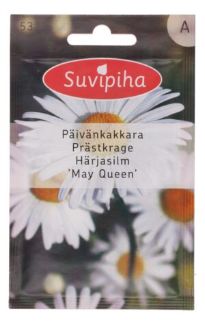 Harilik härjasilm ‘May Queen’ 570s