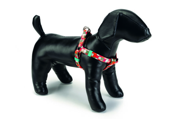 Beeztees rakmed koerale 46-75cm x20mm ruuduline nailon