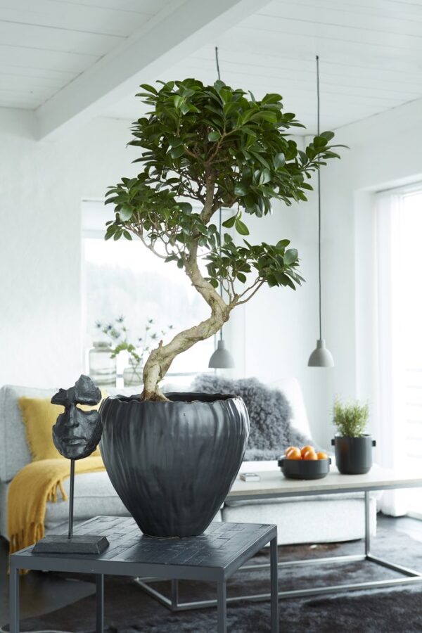 Toalillepott Parisa Ø16x h18cm must