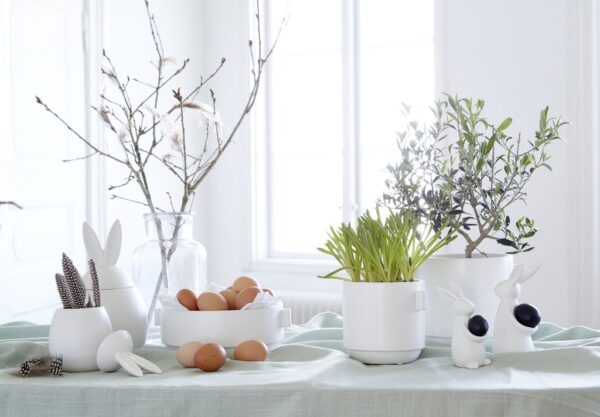 Toalillepott Rachel Ø14x h17cm valge