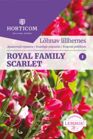 Lõhnav lillhernes ‘Royal Family Scarlet’ 5g