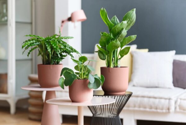 Lillepott Vibes Fold ümar Ø16x h15cm roosa