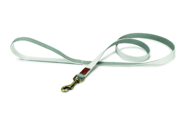 Beeztees rihm koerale 120cm x15mm münt virante