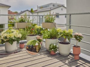 Kastmiskomplekt rõdule (15 taime jaoks) Gardena MDS