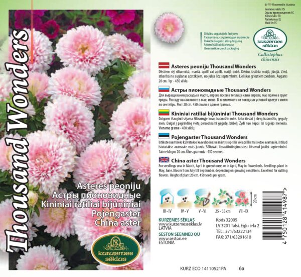 Aedaster 'Thousand Wonders Rose'