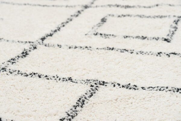 Vaip Aura 160x230cm valge