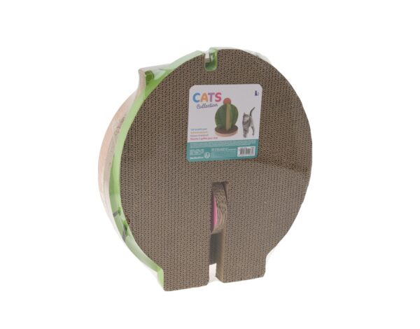 Kraapimispuu kaktus õiega 38x38x50cm, roheline