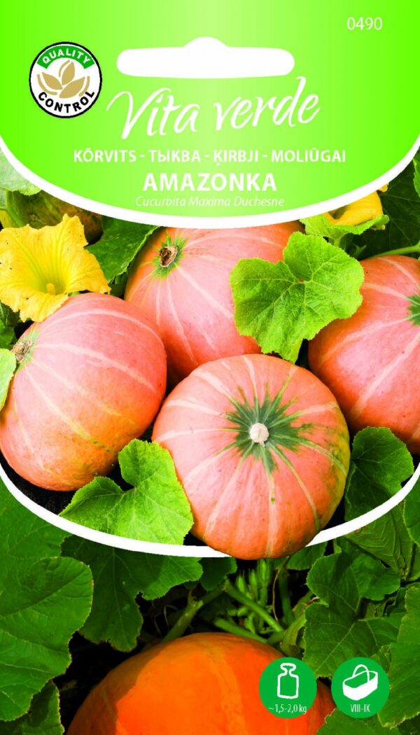 Kõrvits 'Amazonka'