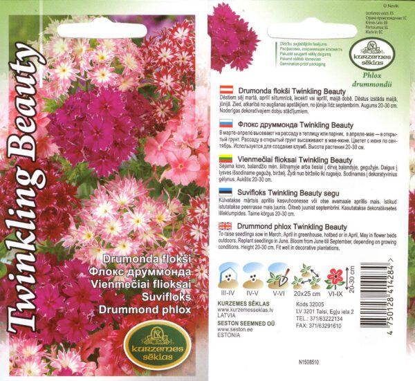 Suvi-leeklill segu Twinkling Beauty