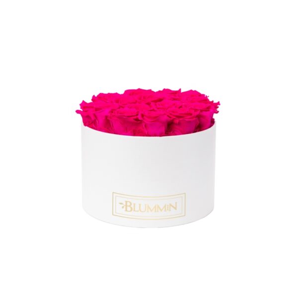 BLUMMiN L valge karp HOT PINK