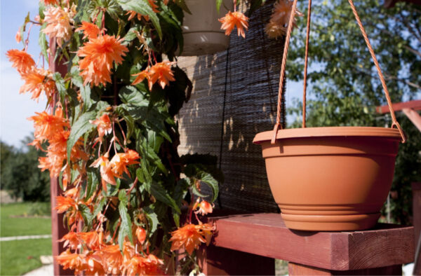 Ampelpott Agro 21x13cm terrakota