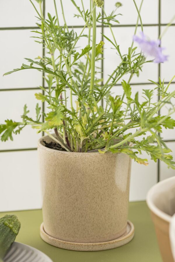 Lillepott Saga Ø16,8x h16cm kreem