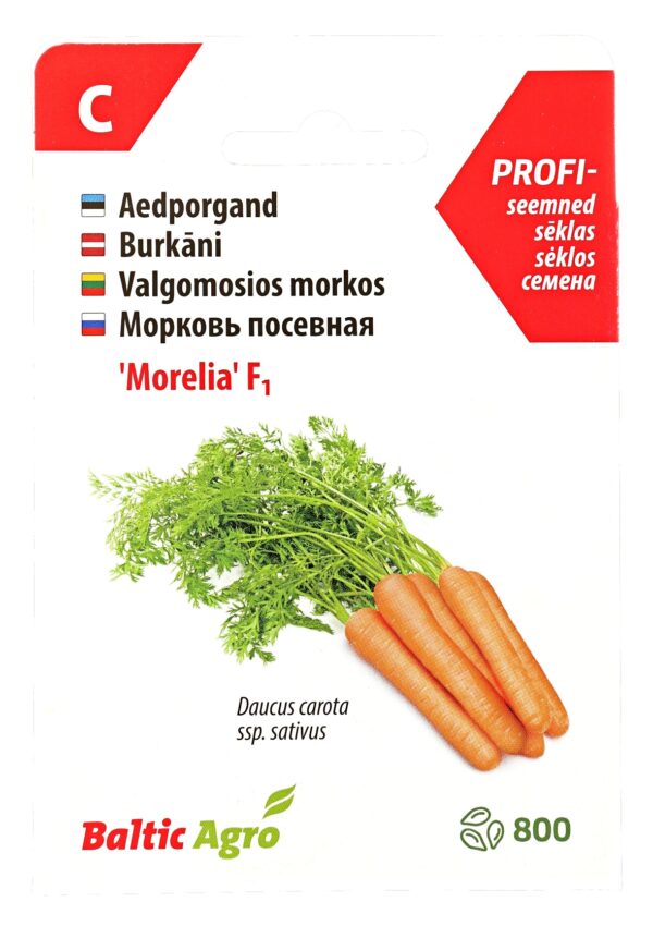 Porgand 'Morelia' F1 800s