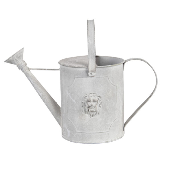 Kastekann lõvi 4,5L