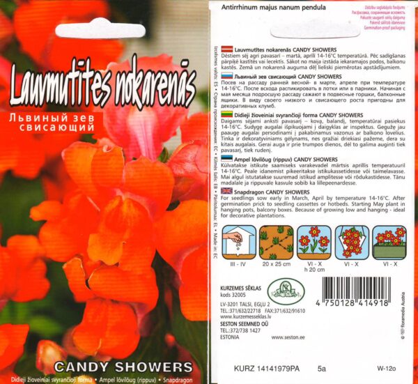 Lõvilõug 'Candy Showers'