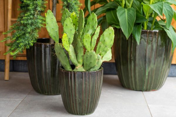 Õuepott Scott33 H35cm roheline