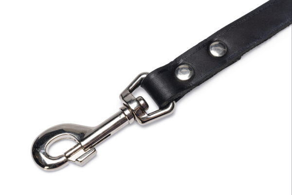 Jalutusrihm BZ nahast 200cm x 20mm pruun