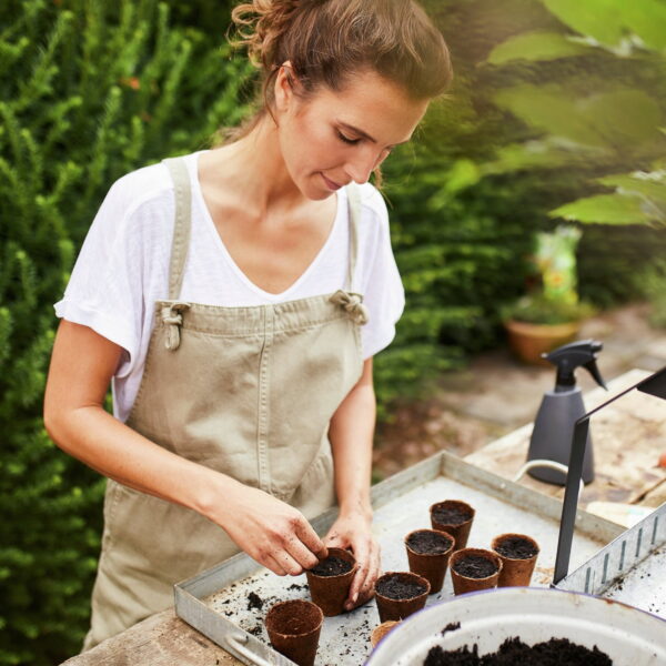 Compo külvi- ja maitsetaimede muld BIO 20L