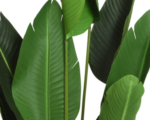 Kunsttaim Strelitzia potis 150cm roheline