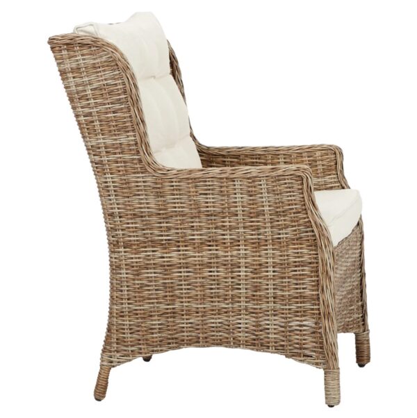 Aiatool istmepatjadega, pruun