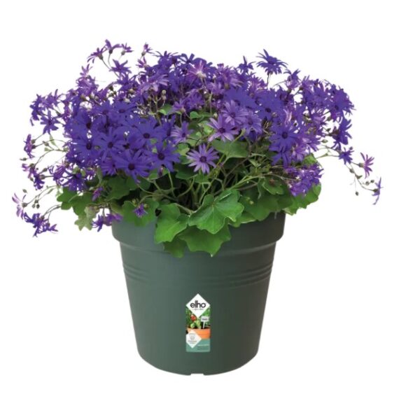 Istutuspott Green Basics 17x16cm leheroheline