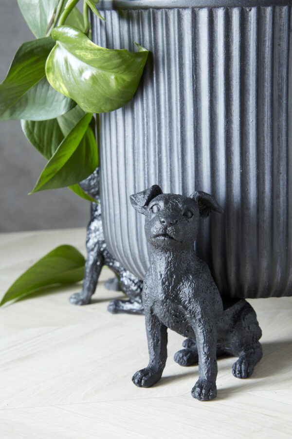 Lillepotialus Jack 12x6x13cm must