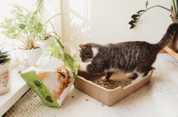 Kassiliivakast EcoPetBox biolagunev, 3tk komplektis