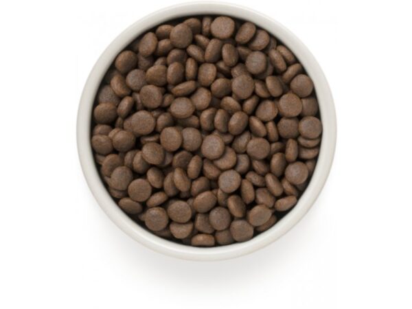 GD Dog - 4 Meat Adult Medium & Maxi Breed 10kg