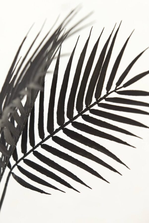 Kunsttaim Palm d65x80cm must potis