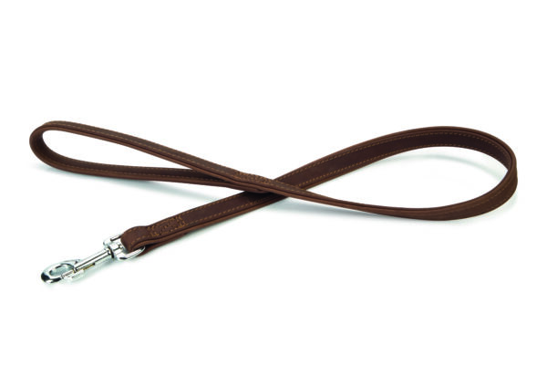 Beeztees jalutusrihm koerale 110cm x22mm nahast pruun