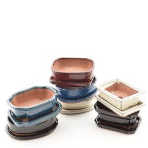 Bonsaipott 10x15x h5cm alustaldrikuga