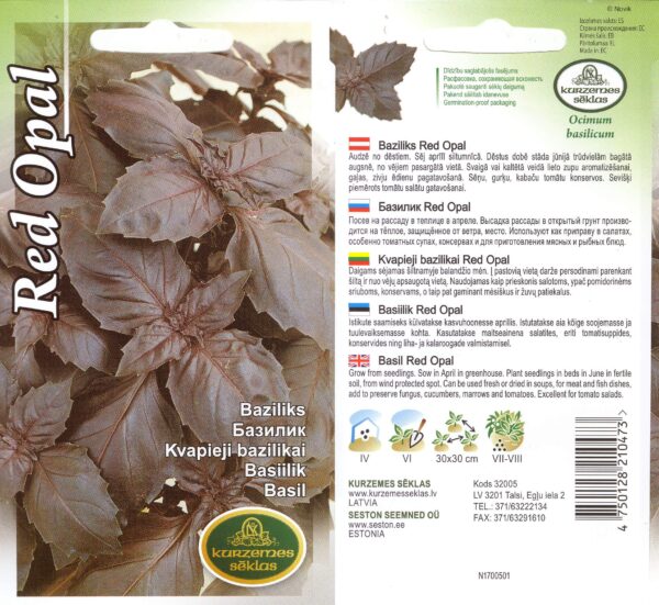 Vürtsbasiilik 'Red Opal'
