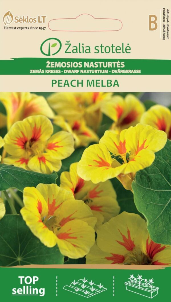 Mungalill 'Peach Melba'