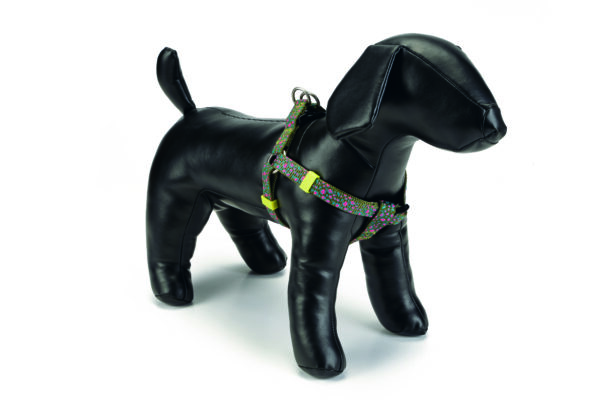 Beeztees rakmed koerale 60-100 x25mm helehall spira nailon