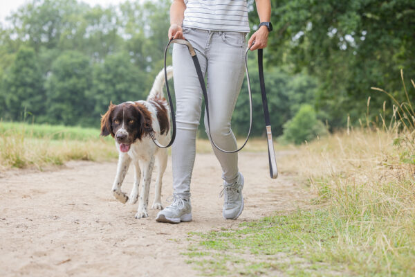 Jalutusrihm Parinca premium 300x2,5cm h.hall