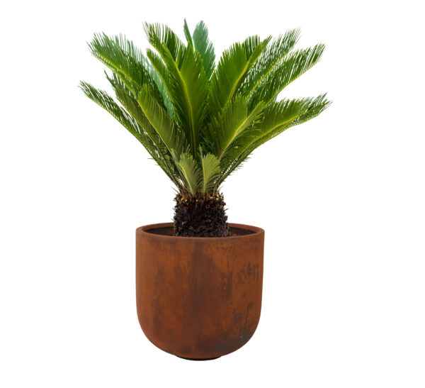 Õuepott Static 30x31cm pruun