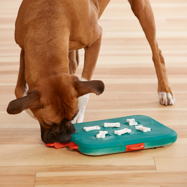 Nuputamismäng DogCasino