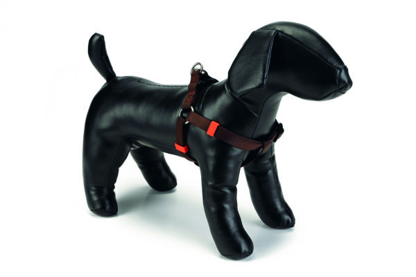 Beeztees rakmed koerale 60-100cm x25mm tumepruun universaalne nailon