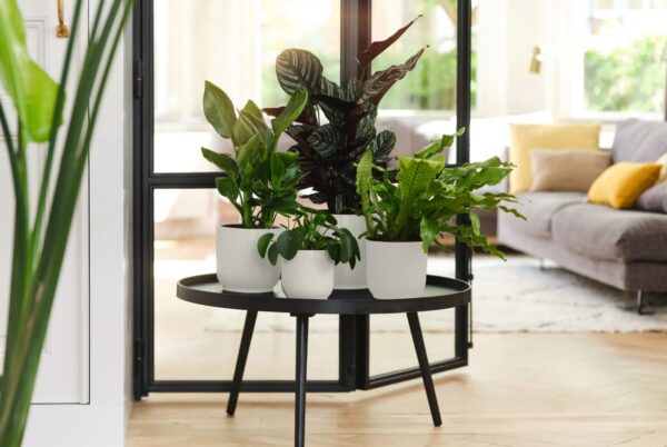 Lillepott Vibes Fold ümar Ø16x h15cm valge