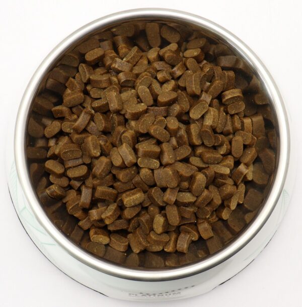 Platinum koeratoit Adult Mini kanalihaga, 900g