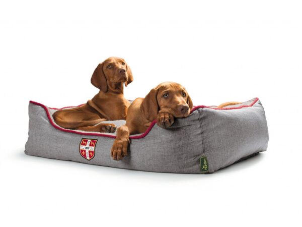 Pesa University 100x70 cm