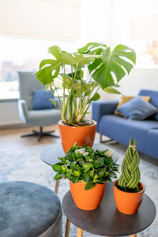 Orhideepott Sven 14xh17cm oran˛