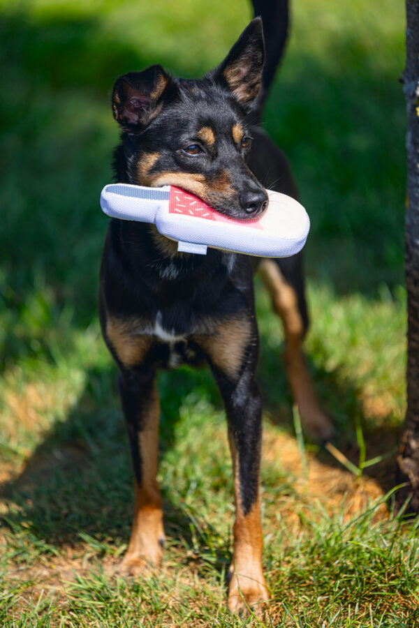 BZ koeramänguasi Icecream 22X8X3cm