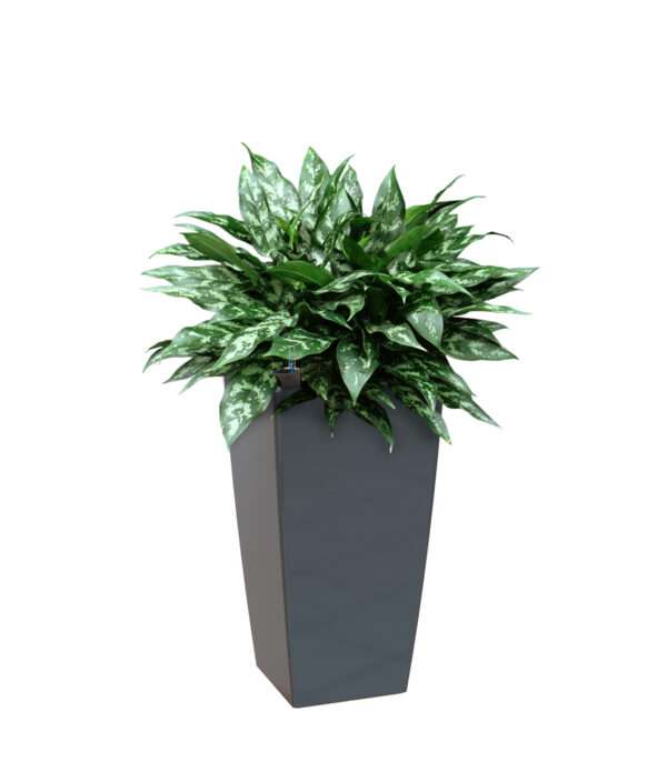 Lillepott altkastmissüsteemiga Pisa 78cm antratsiit