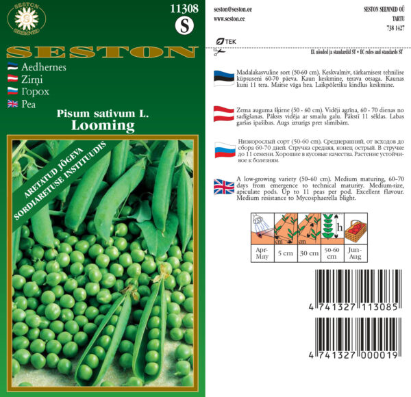 Hernes 'Looming' 20g