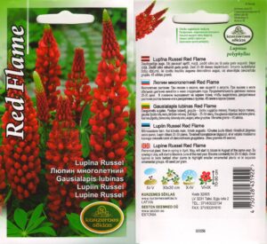 Russeli lupiin ‘Red Flame’ 0,5g