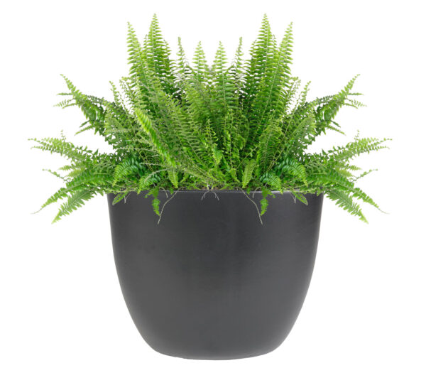 Lillepott Cresta 29x15xh25cm must